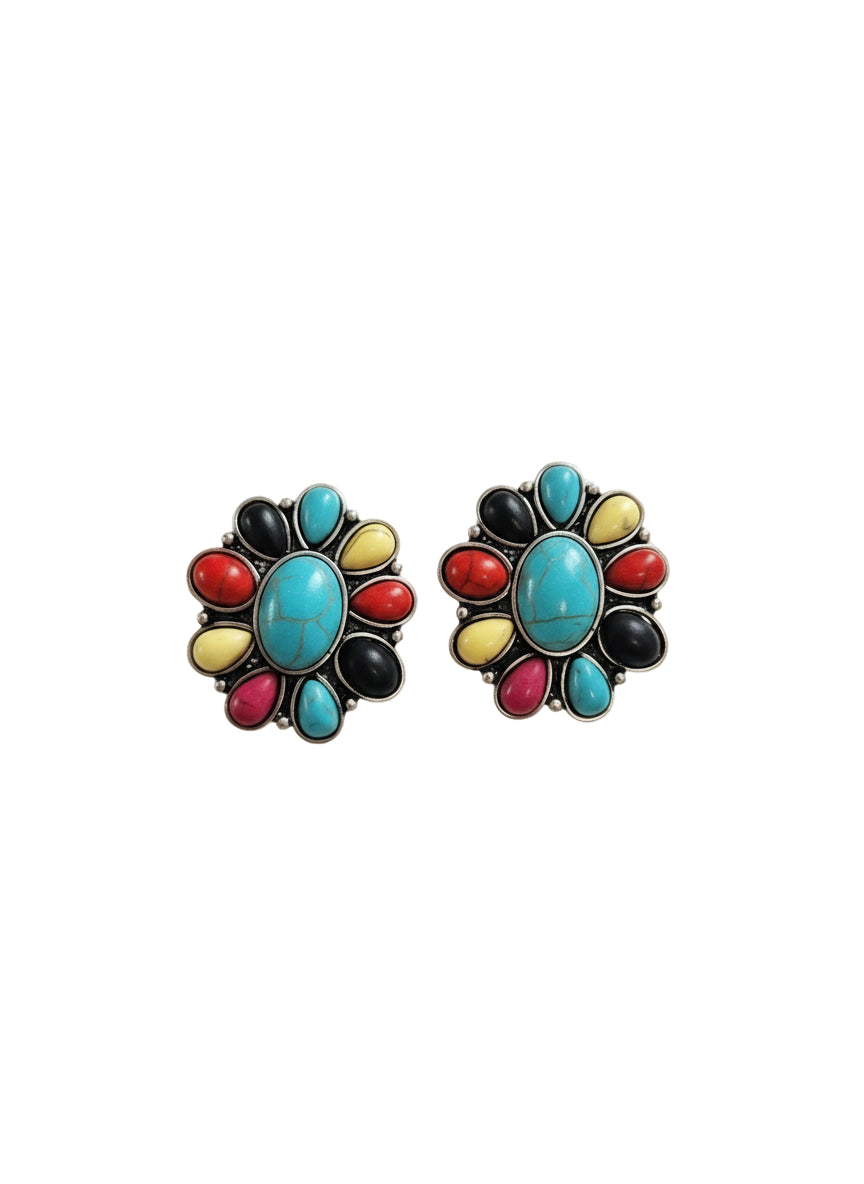 Multi Colored Stone Studs