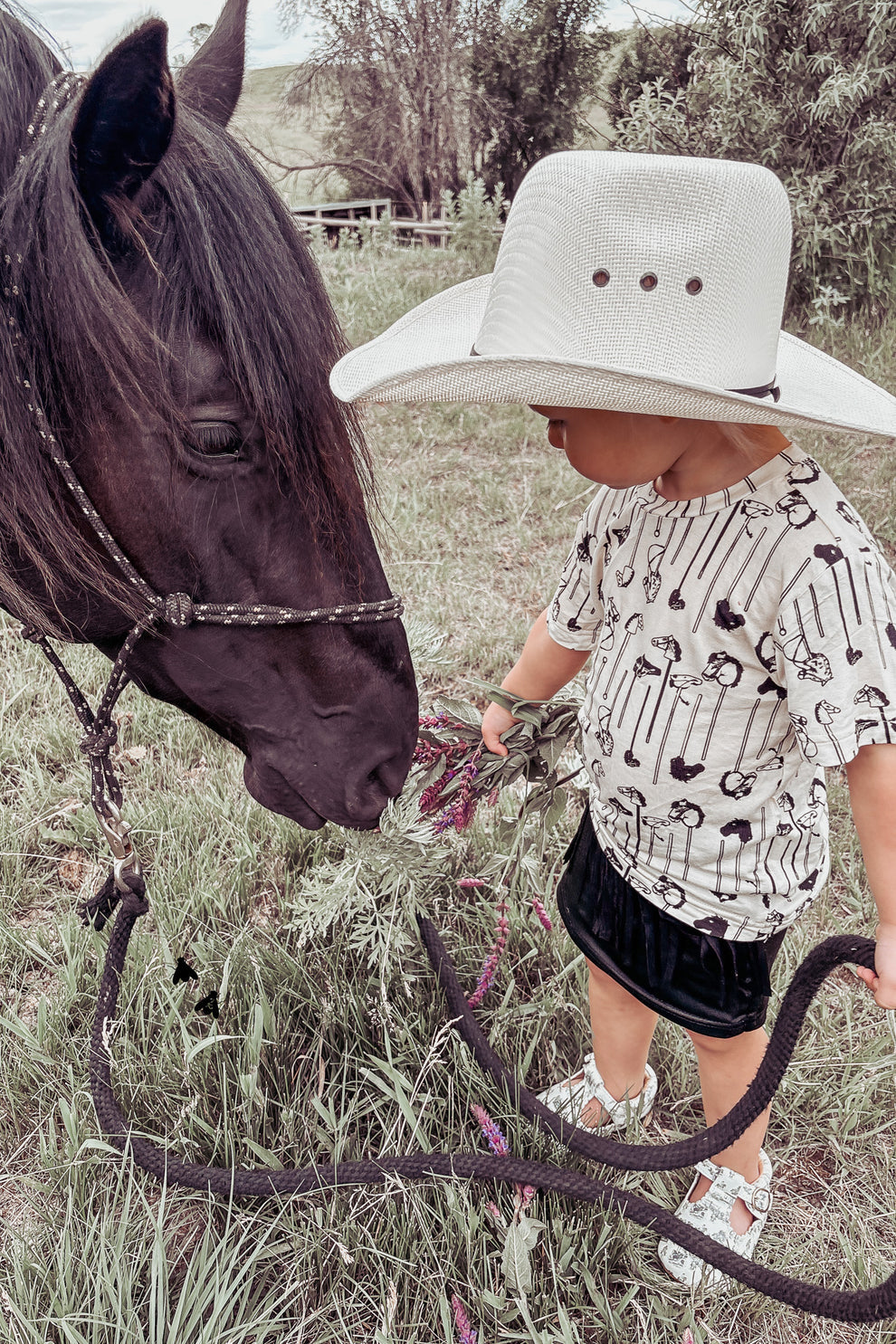 Pony Party