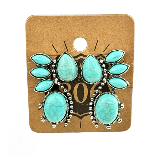 Western Flair Post Earring